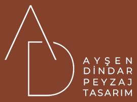 aysen dindar logo